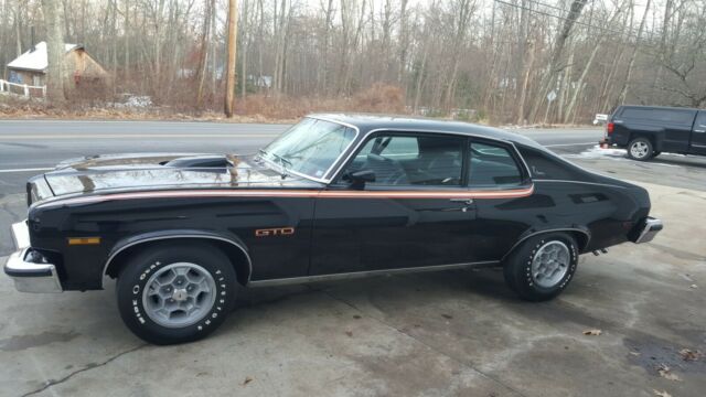 Pontiac GTO 1974 image number 2