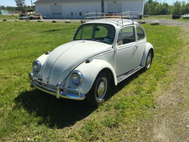 Volkswagen Beetle - Classic 1967 image number 0