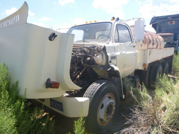 GMC Truck 1979 image number 13