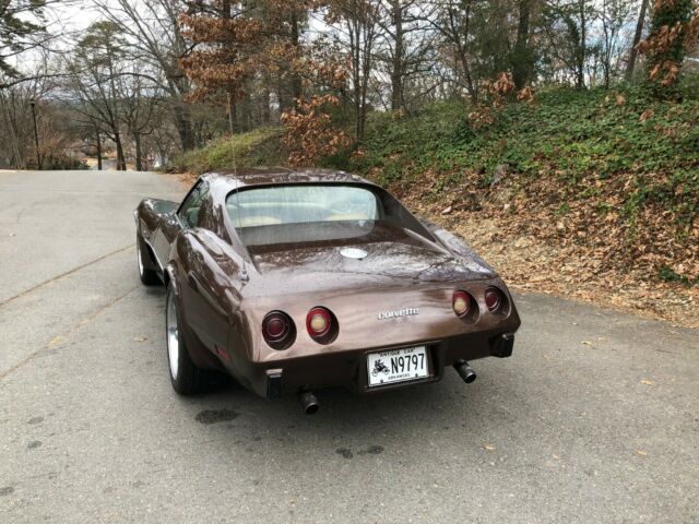 Chevrolet Corvette 1976 image number 14