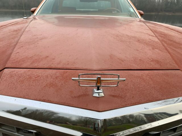 Ford Thunderbird 1978 image number 29