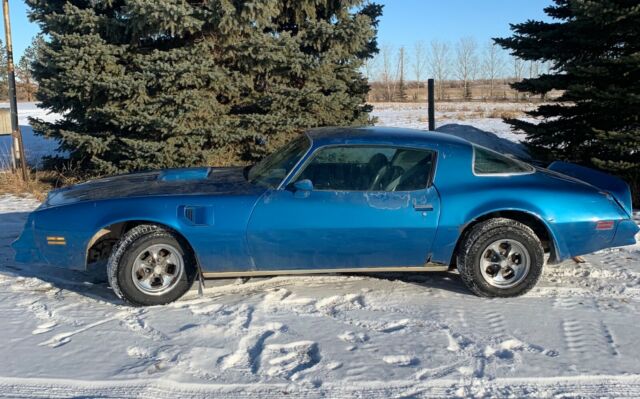 Pontiac Trans Am 1977 image number 5