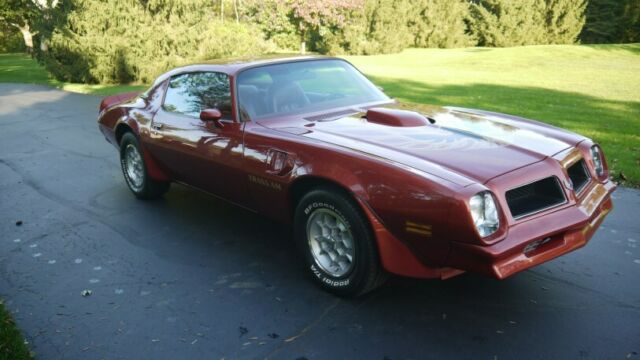 Pontiac Trans Am 1976 image number 2