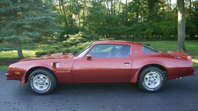 Pontiac Trans Am 1976 image number 29