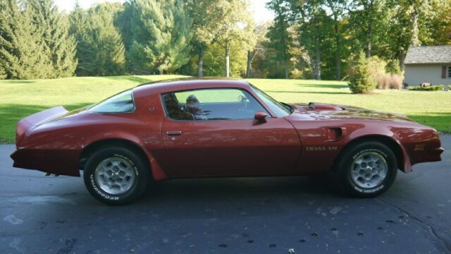 Pontiac Trans Am 1976 image number 3