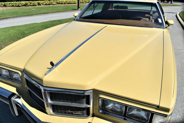 Pontiac Grandville 1975 image number 7