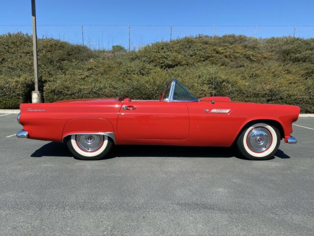 Ford Thunderbird 1955 image number 12