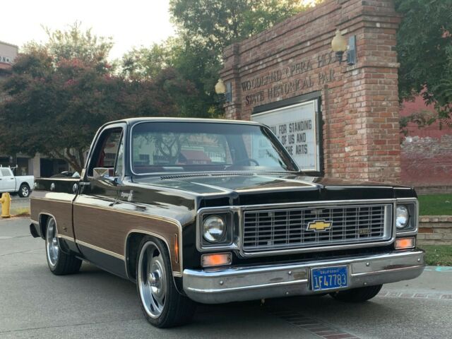 Chevrolet C-10 1977 image number 21