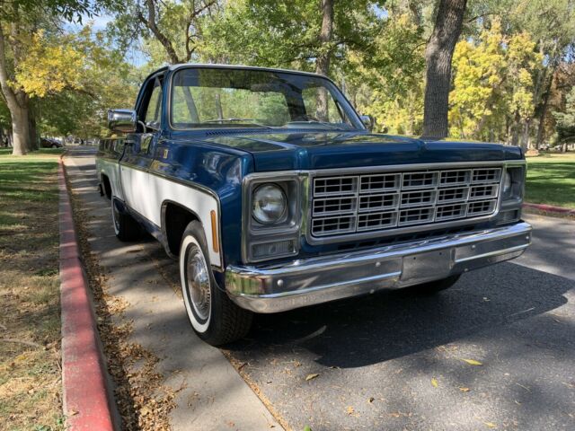 Chevrolet C10/K10 1979 image number 2