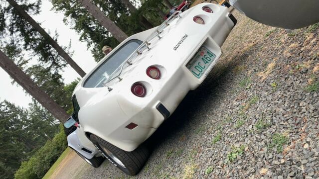 Chevrolet Corvette 1976 image number 15