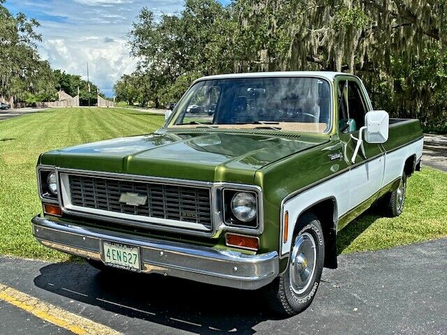 Chevrolet C-10 1974 image number 1