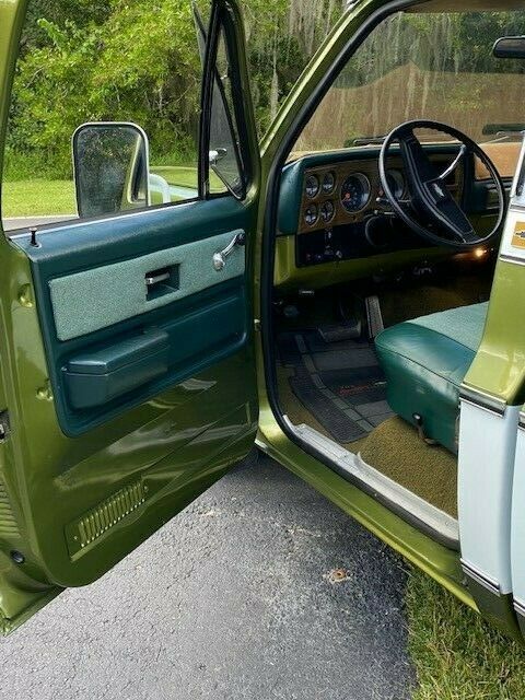 Chevrolet C-10 1974 image number 10