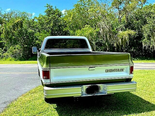 Chevrolet C-10 1974 image number 27