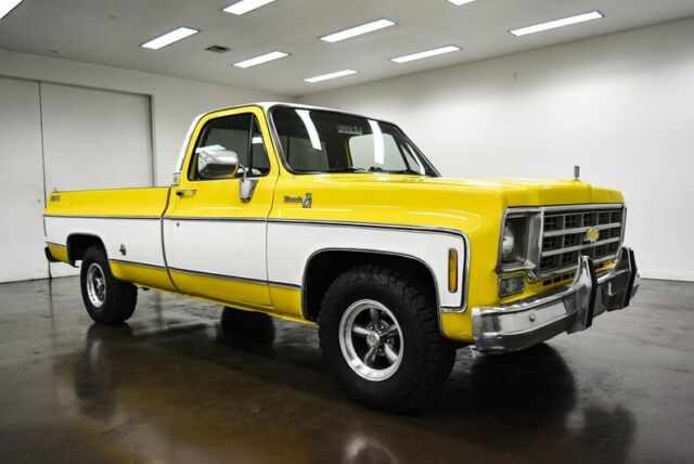 Chevrolet Silverado 1500 1978 image number 21