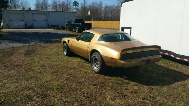 Pontiac Trans Am 1979 image number 3