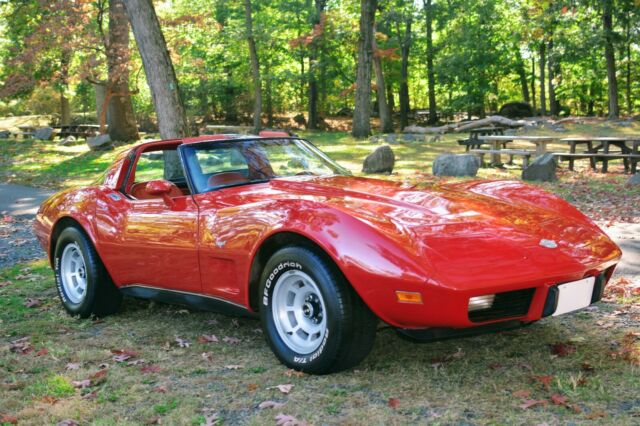 Chevrolet Corvette 1978 image number 10