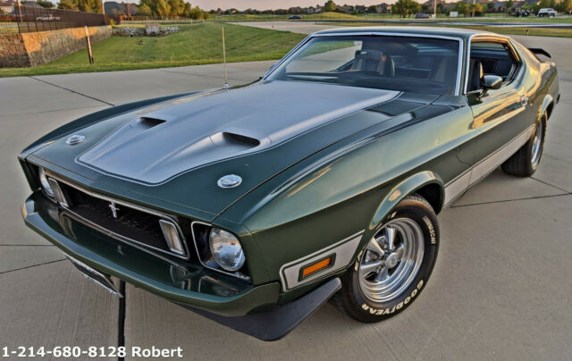 Ford Mustang 1973 image number 0