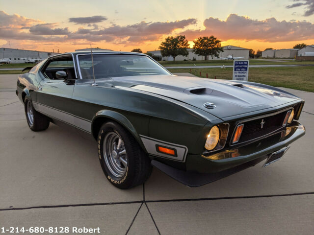 Ford Mustang 1973 image number 22