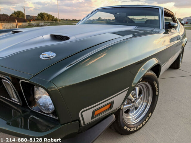 Ford Mustang 1973 image number 31