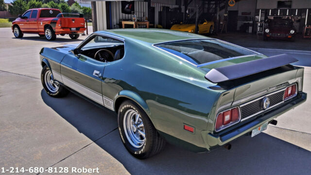 Ford Mustang 1973 image number 8