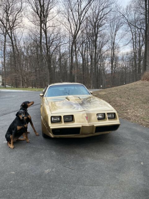 Pontiac Trans Am 1979 image number 11