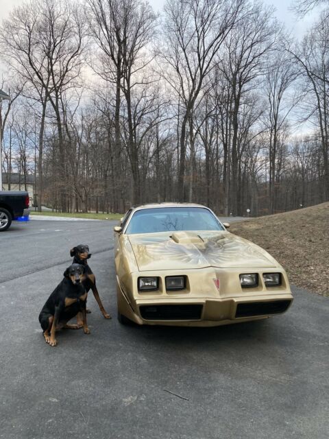 Pontiac Trans Am 1979 image number 12