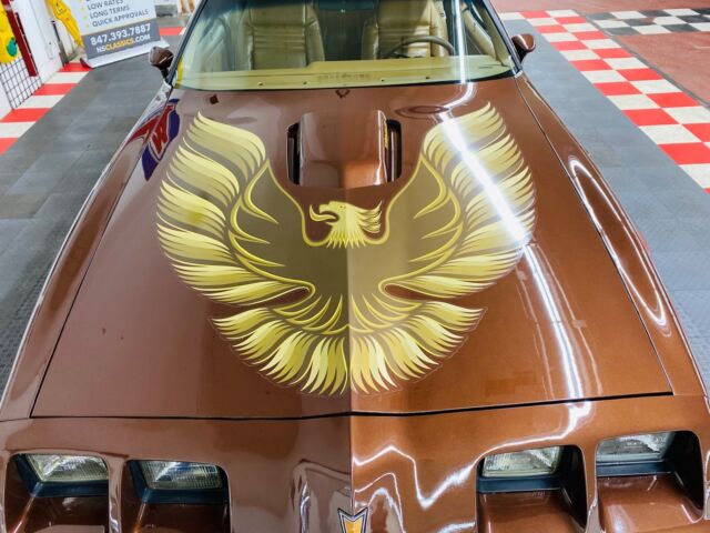 Pontiac Trans Am 1979 image number 7