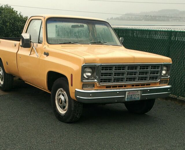 Chevrolet C-10 1977 image number 16