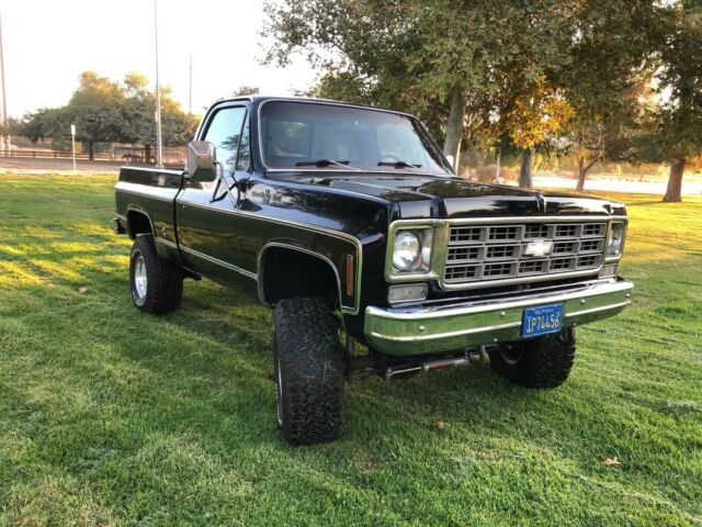 Chevrolet C-10 1978 image number 42