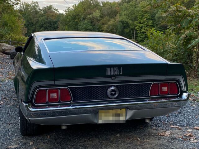 Ford Mustang Mach 1 351 1972 image number 4