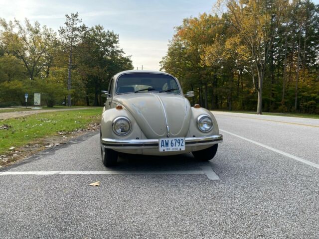 Volkswagen Beetle - Classic 1969 image number 30