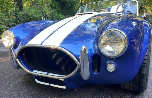 Shelby Cobra 1965 image number 22