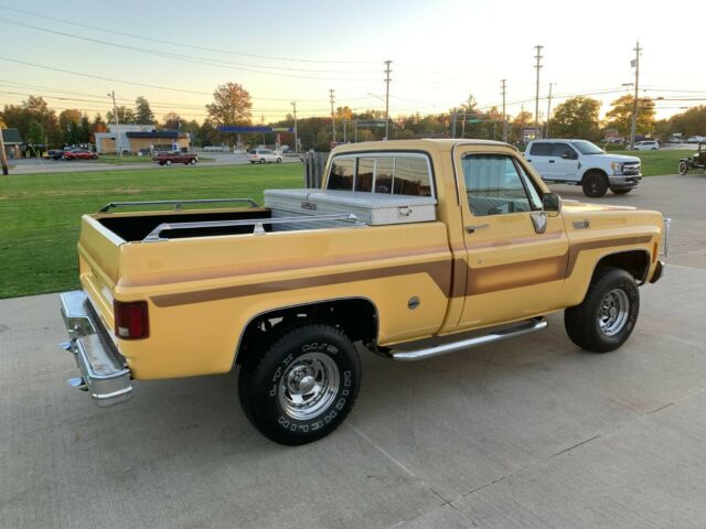 Chevrolet C-10 1978 image number 15