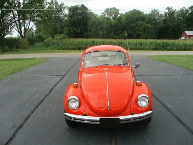 Volkswagen Beetle - Classic 1971 image number 12