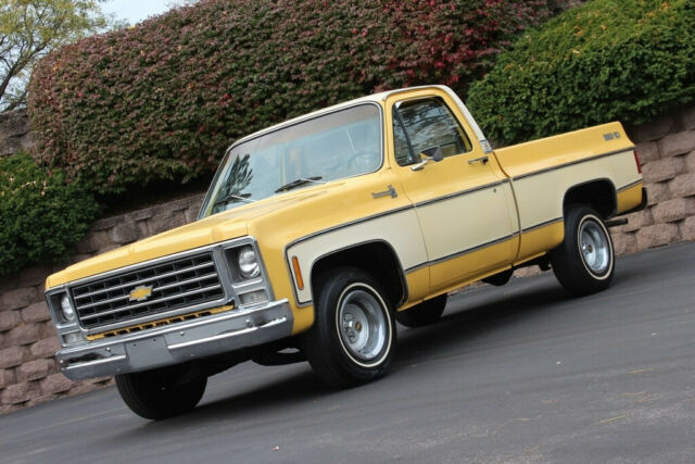 Chevrolet C-10 1979 image number 0