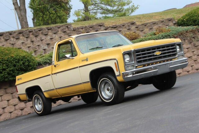 Chevrolet C-10 1979 image number 23