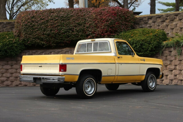 Chevrolet C-10 1979 image number 26