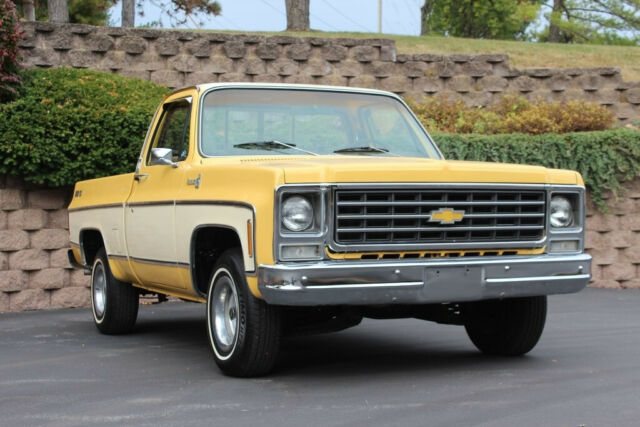 Chevrolet C-10 1979 image number 28