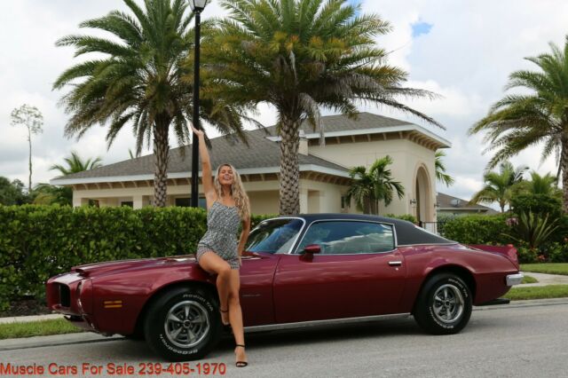 Pontiac Firebird 1973 image number 1