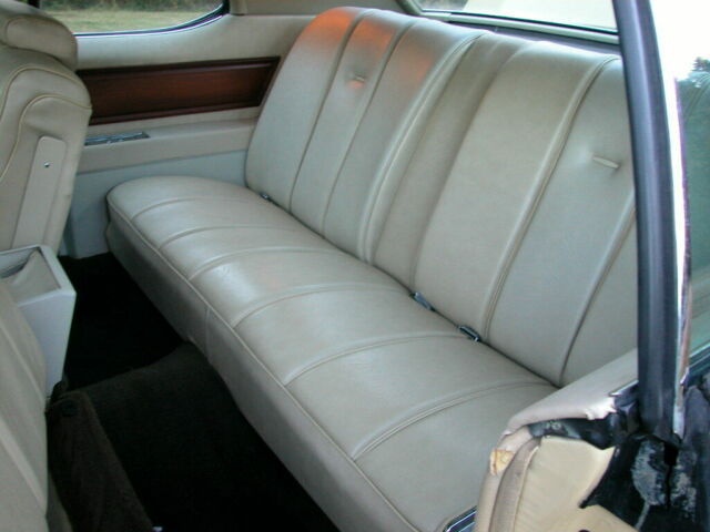 Buick Electra 1973 image number 10