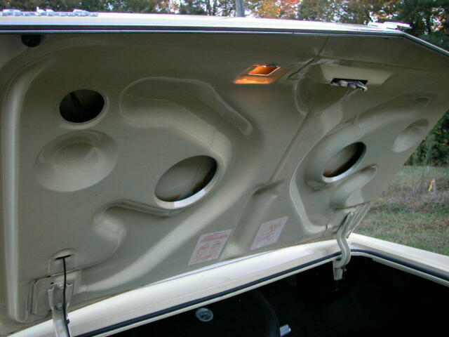 Buick Electra 1973 image number 39