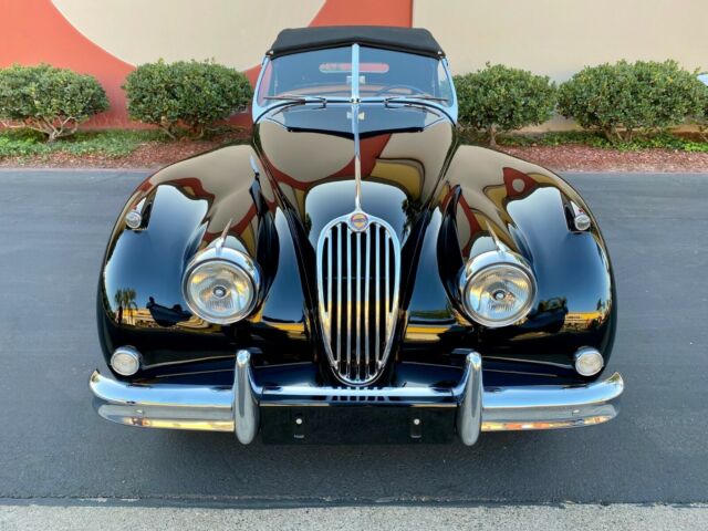 Jaguar XK 1955 image number 1