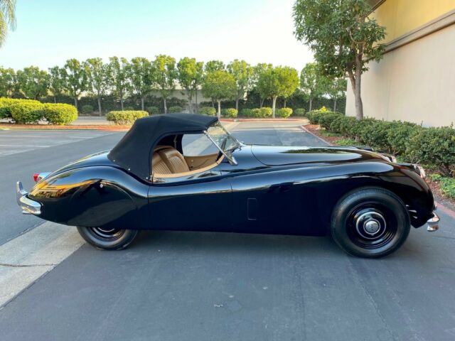 Jaguar XK 1955 image number 11