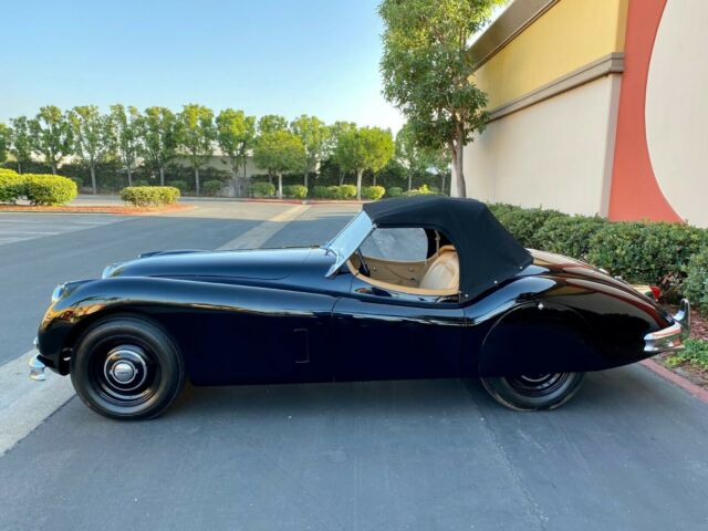 Jaguar XK 1955 image number 27