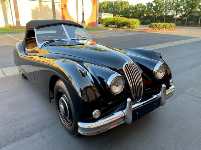 Jaguar XK 1955 image number 32