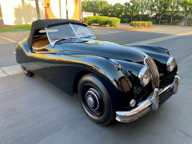 Jaguar XK 1955 image number 33