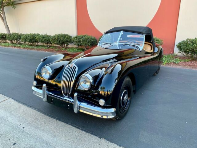 Jaguar XK 1955 image number 6