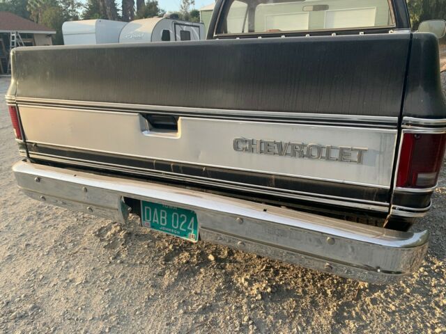 Chevrolet C-10 1979 image number 23