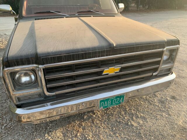 Chevrolet C-10 1979 image number 40