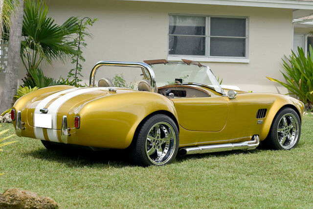 Street beast Shelby Cobra 1966 image number 3